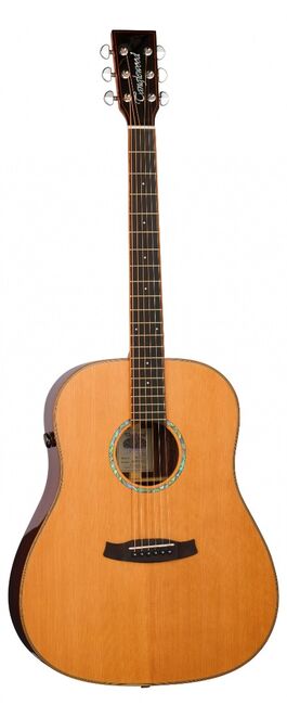 Guitarra Acústica Tanglewood Serie New Rosewood Smart Dreadnought Electrificada