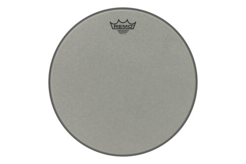 Parche Ambassador Renaissance 10 RA-0010-SS