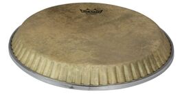 Parche de percusión Skyndeep Symmetry Conga  Low Collar 12,50