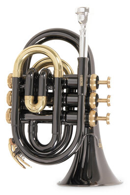 Bb-Trompeta Pocket Roy Benson PT-101K