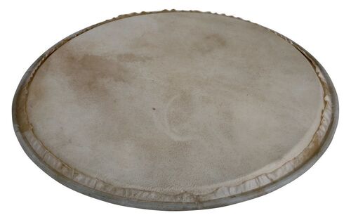 Parche de percusión Plenera 12