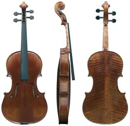 Viola Maestro 6 39,5 cm Viola Maestro 6 39,5 cm