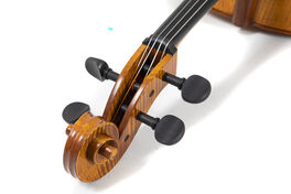 Cello de Concierto Georg Walther 4/4 Listo para tocar Gewa Made in Germany