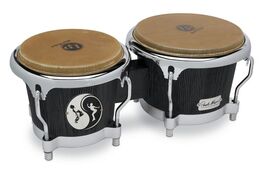 Bongo Paoli Mejias Balance  Latin Percussion
