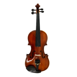 Violín Gaudieri HD-V01 4/4
