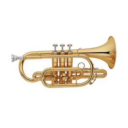 Corneta Taylor Collins TCCR-100 Lacada en Sib