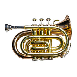 Trompeta  Pocket Taylor Collins TCPTR-36 Lacada/Oro rosa