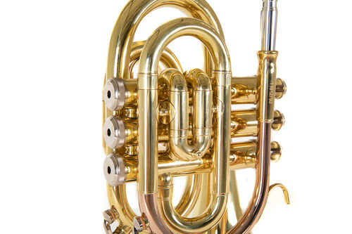 Trompeta Pocket Roy Benson PT-101 Sib