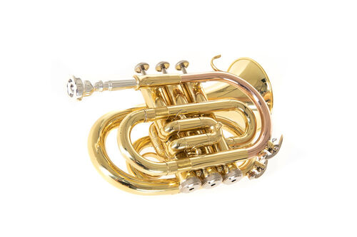 Trompeta Pocket Roy Benson PT-101 Sib