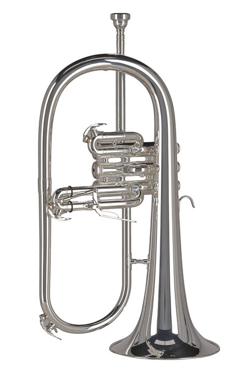 Fliscorno Sib FH501S Ambition Plateada Gewa