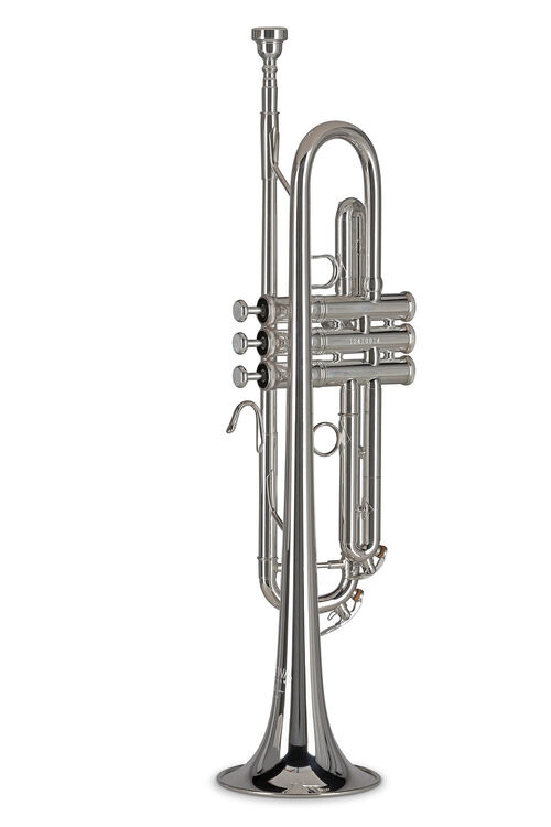 Trompeta Sib TR272S Vision Plateada Gewa