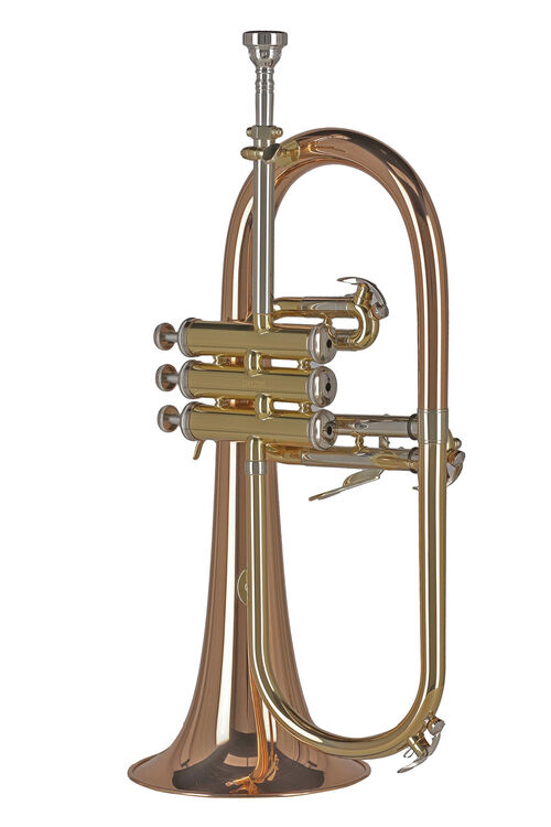 Fliscorno Sib FH501 Ambition Gewa