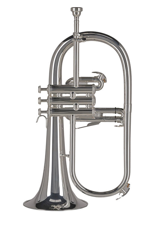 Fliscorno Sib FH501S Ambition Plateada Gewa