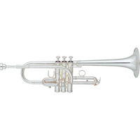 Trompeta en Mib/Re Yamaha YTR9610