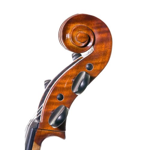 Cello Stentor Conservatoire con arco y estuche 4/4