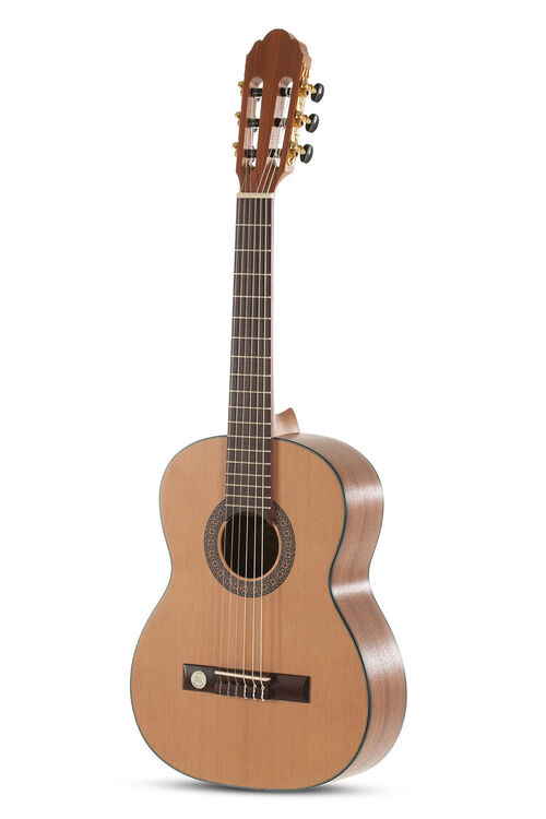 Guitarra clsica Pro Arte Maestro CM-50