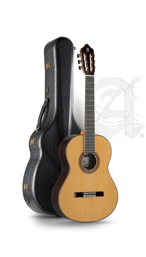 Guitarra Clsica Alhambra 8 P