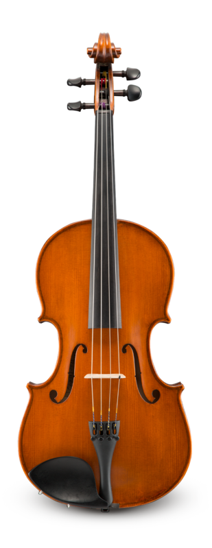 Viola Eastman Student 14 VA17014