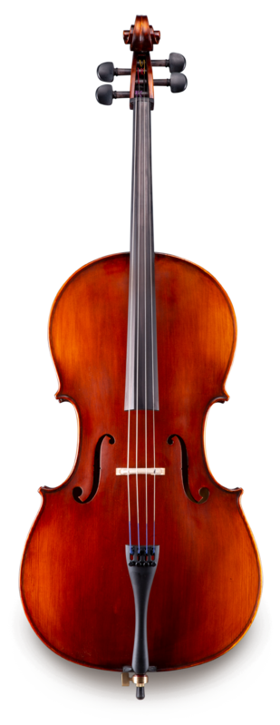 Violonchelo Eastman Student 4/4 VC6544