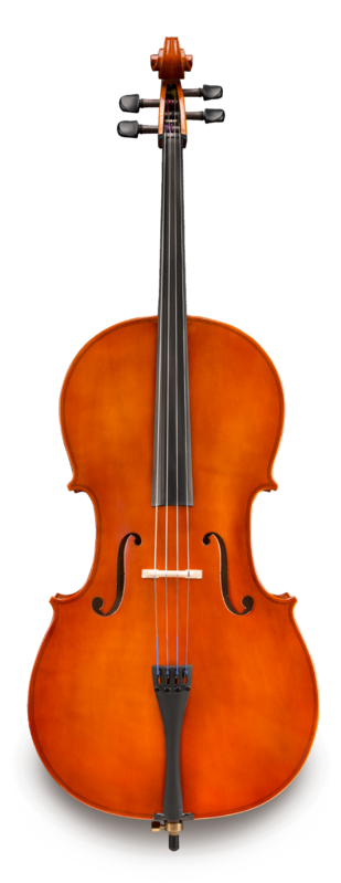 Violonchelo Eastman Student 1/8 VC5018