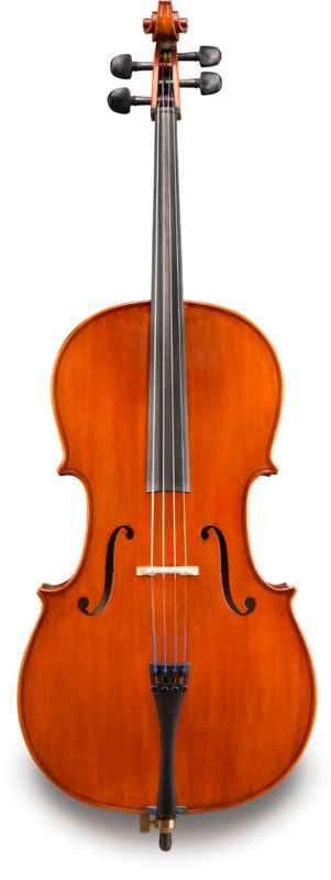 Violonchelo Eastman 1/2 VC17012 Student Sin Montar