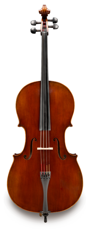 Violonchelo Eastman 7/8 VC70178G Professional