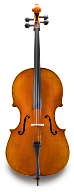 Violonchelo Eastman Professional 7/8 VC70278G